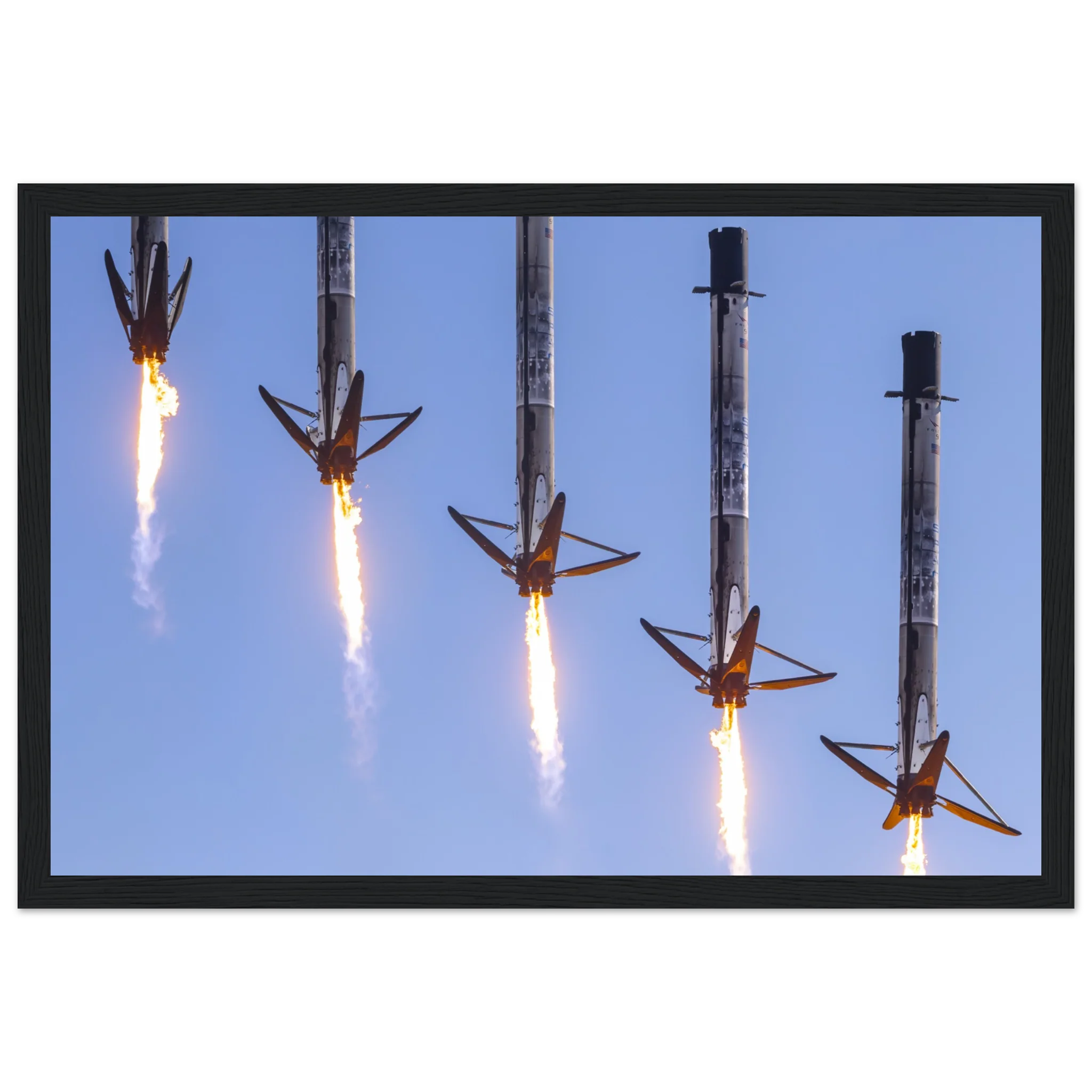 Who let the legs out ?! - Image 3