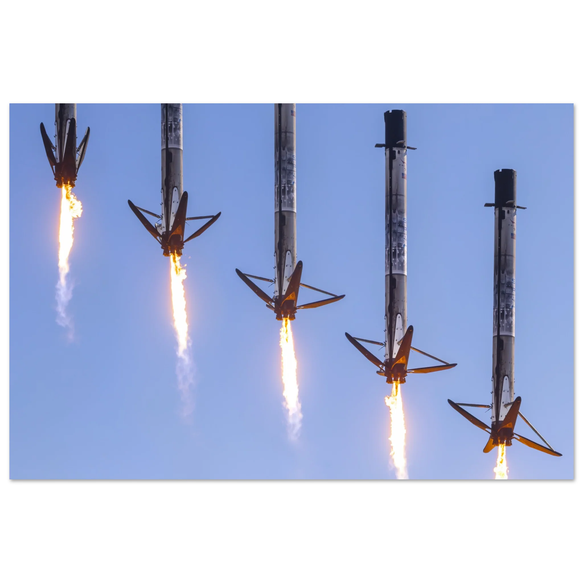 Who let the legs out ?! - Image 4