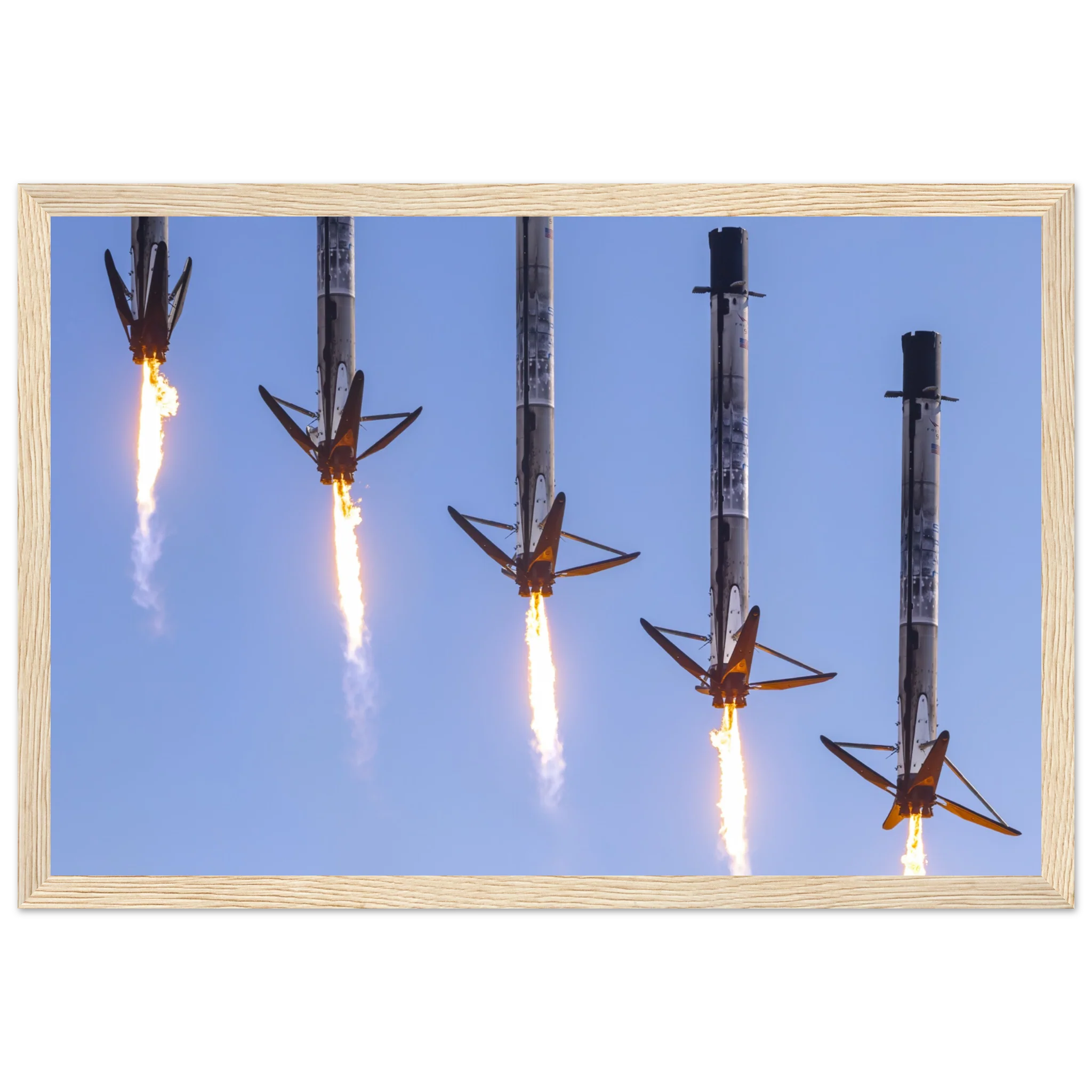 Who let the legs out ?! - Image 5