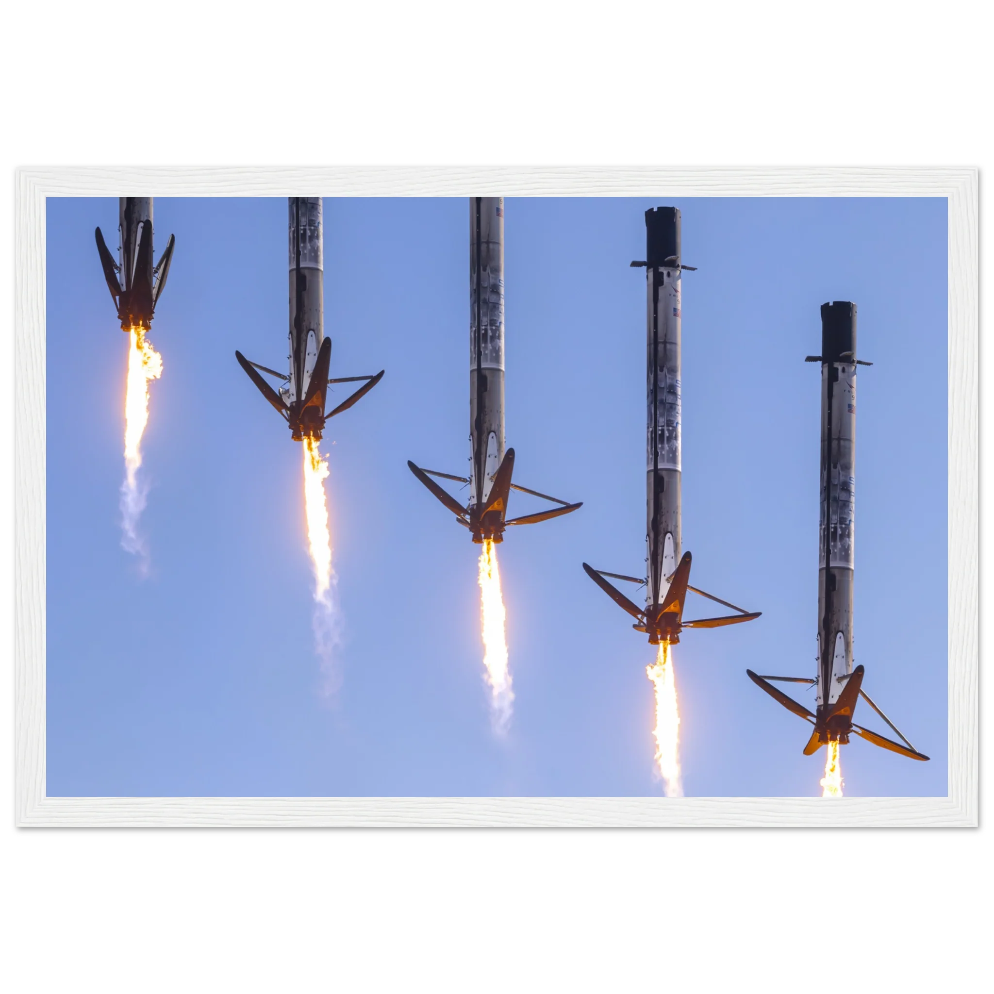 Who let the legs out ?! - Image 7