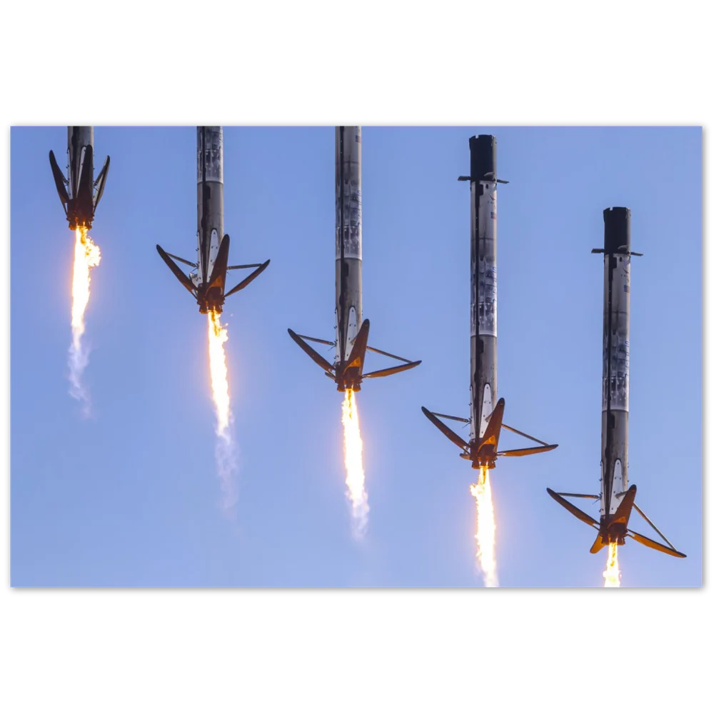 Who let the legs out ?! - Image 8