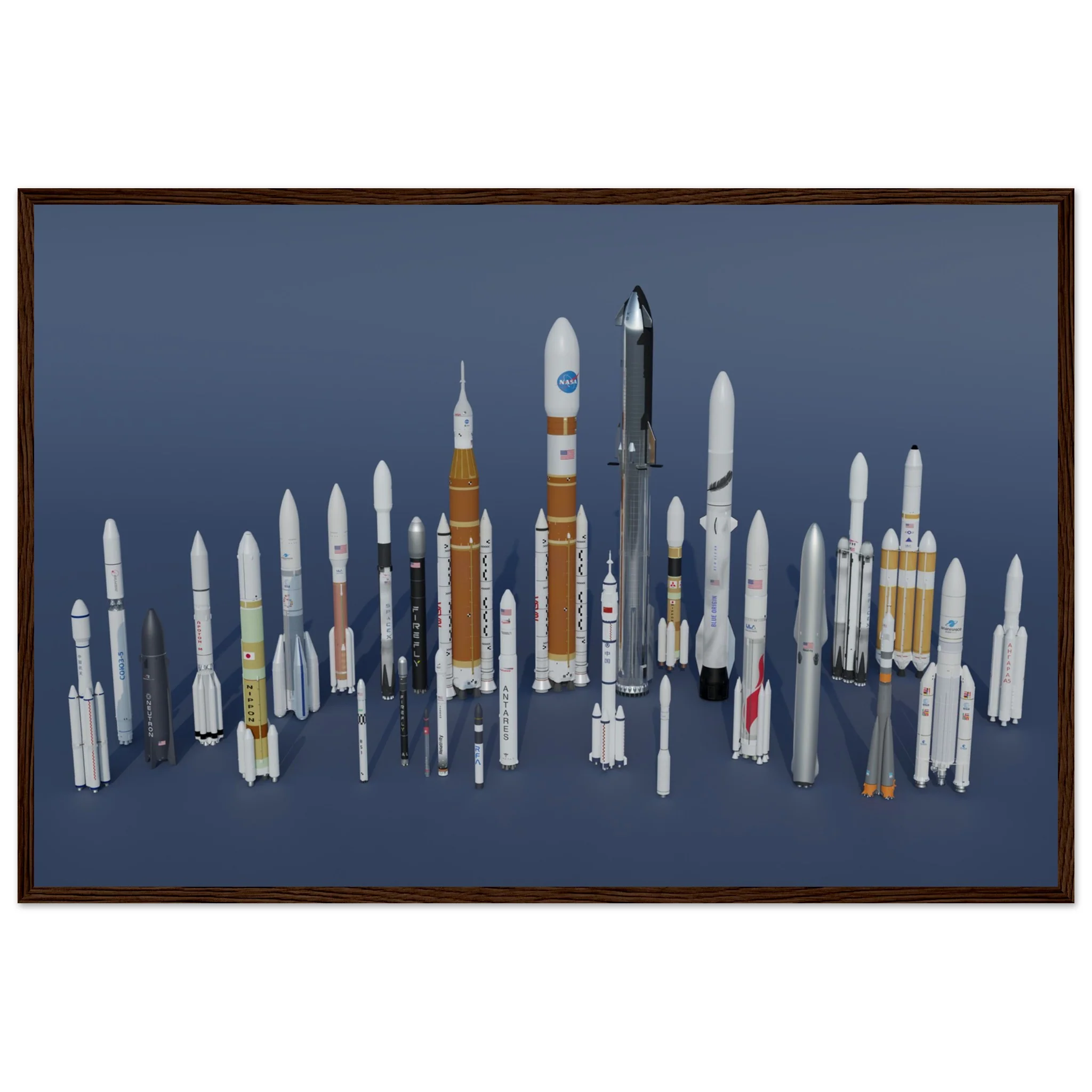 Rocket Garden - Image 13