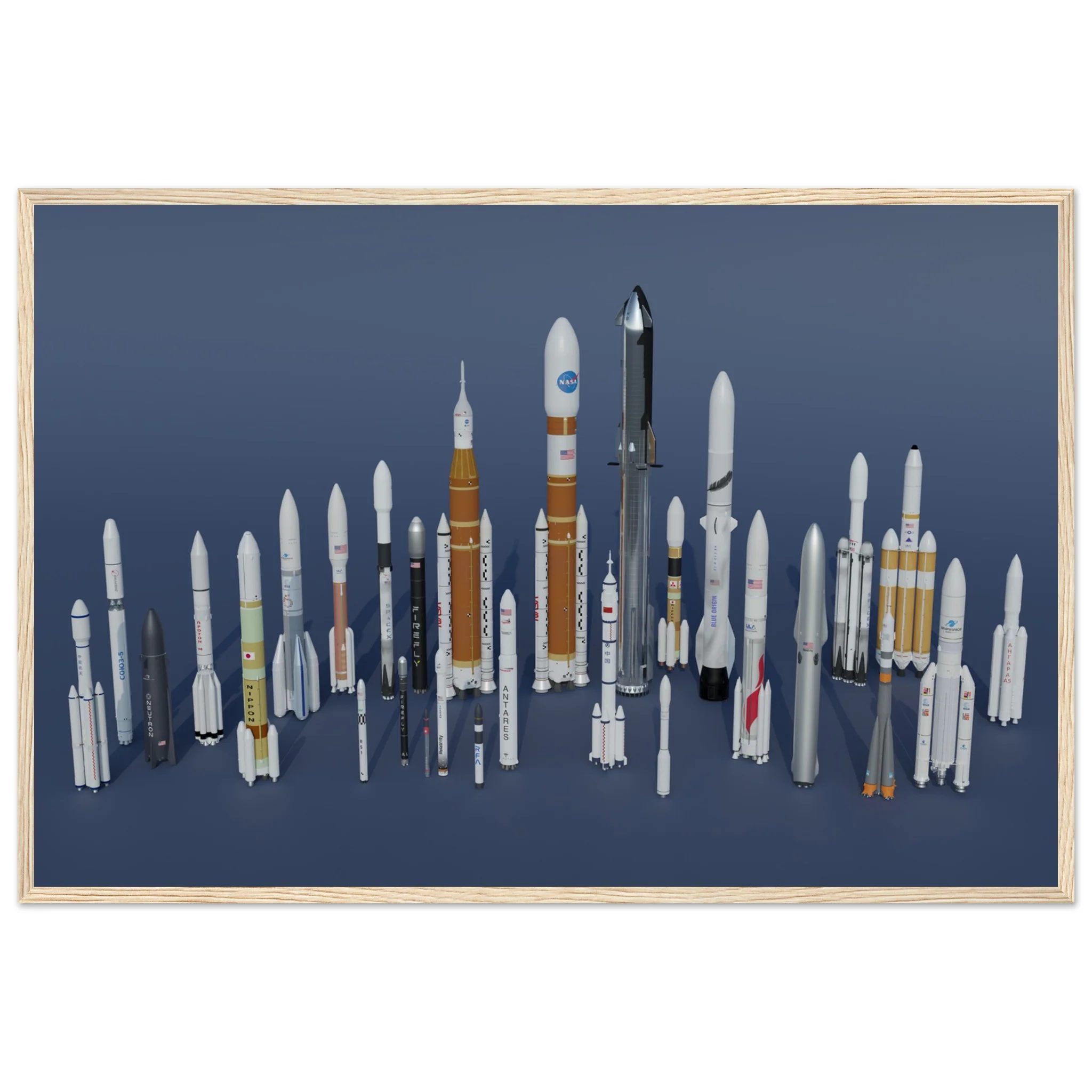 Rocket Garden - Image 14