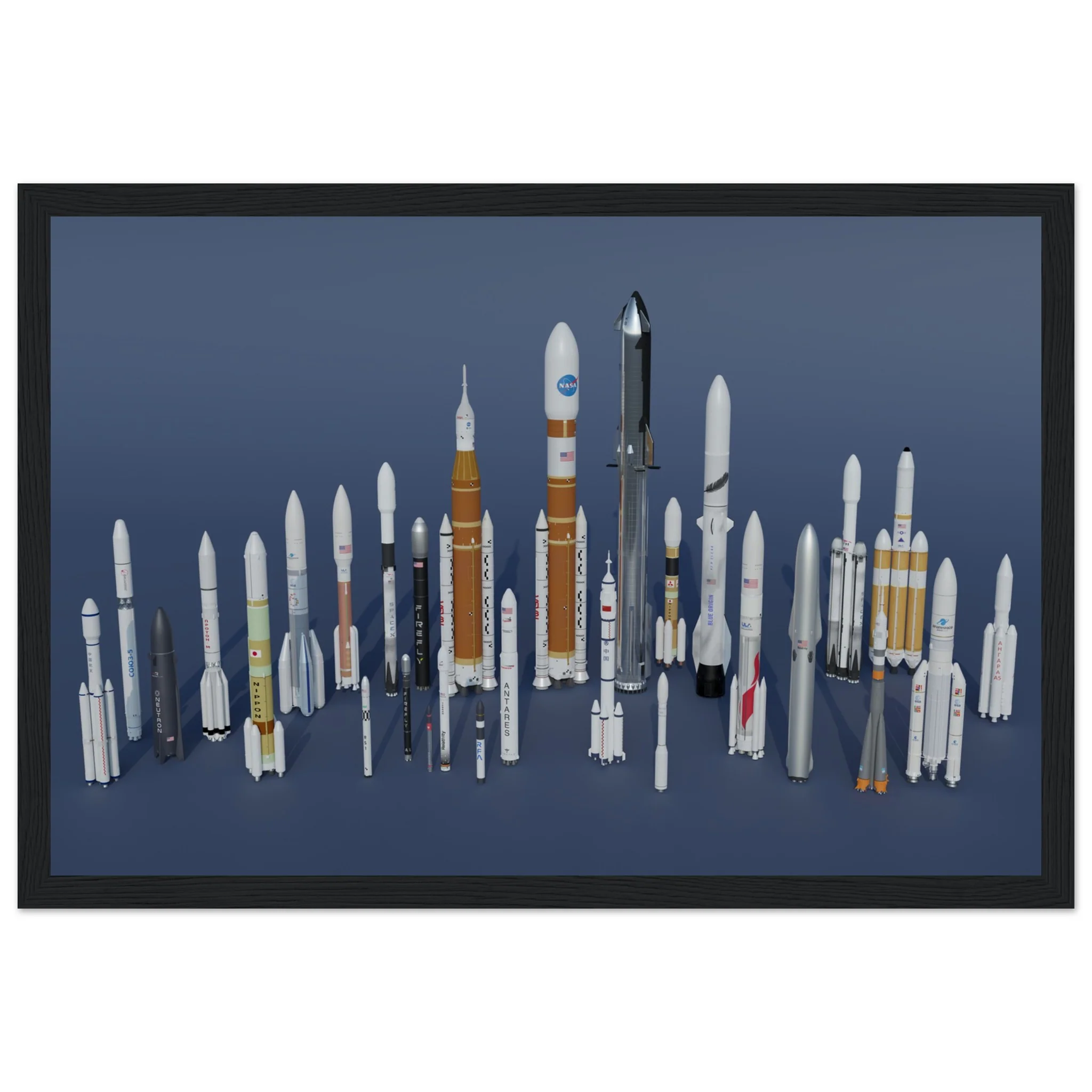 Rocket Garden - Image 4