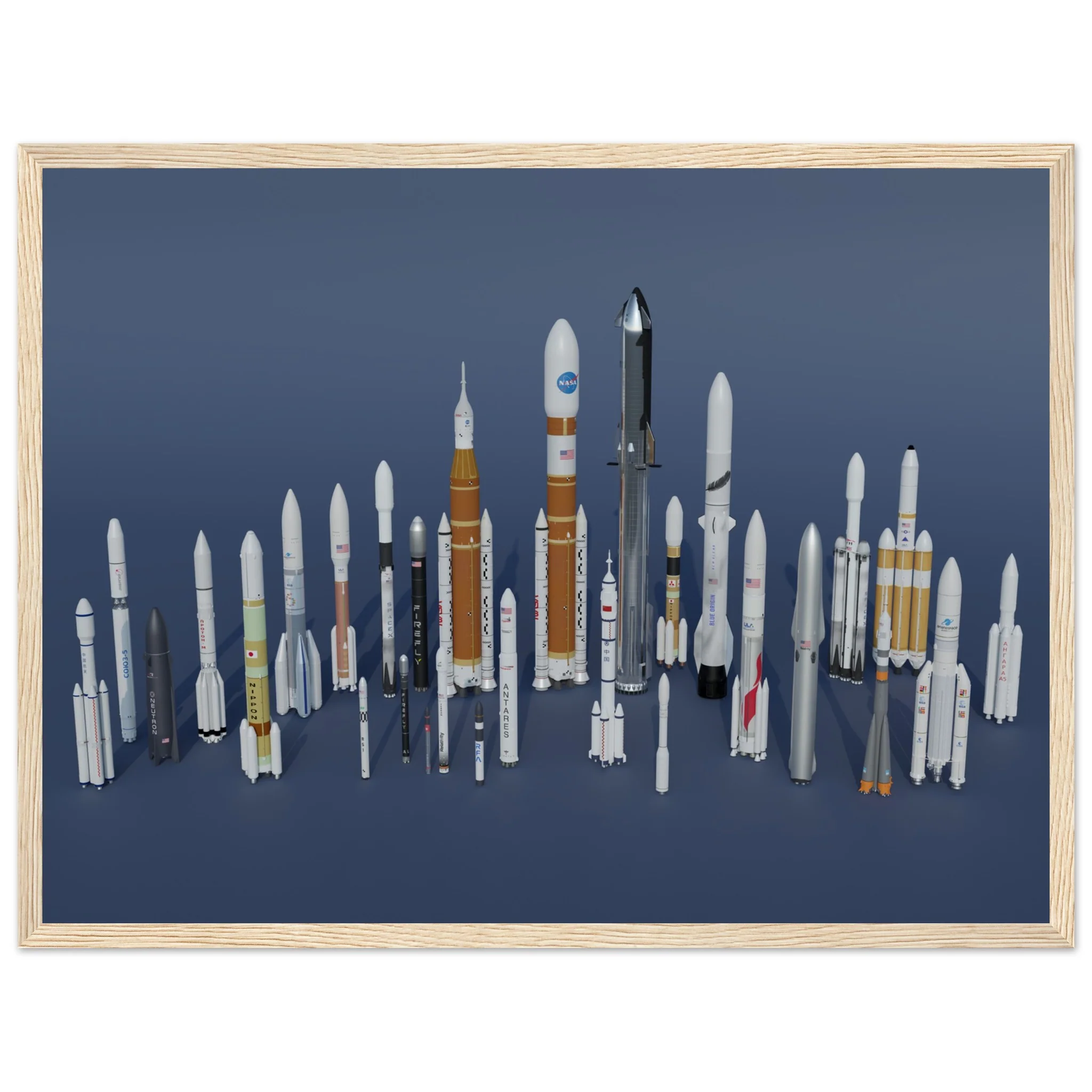 Rocket Garden - Image 5