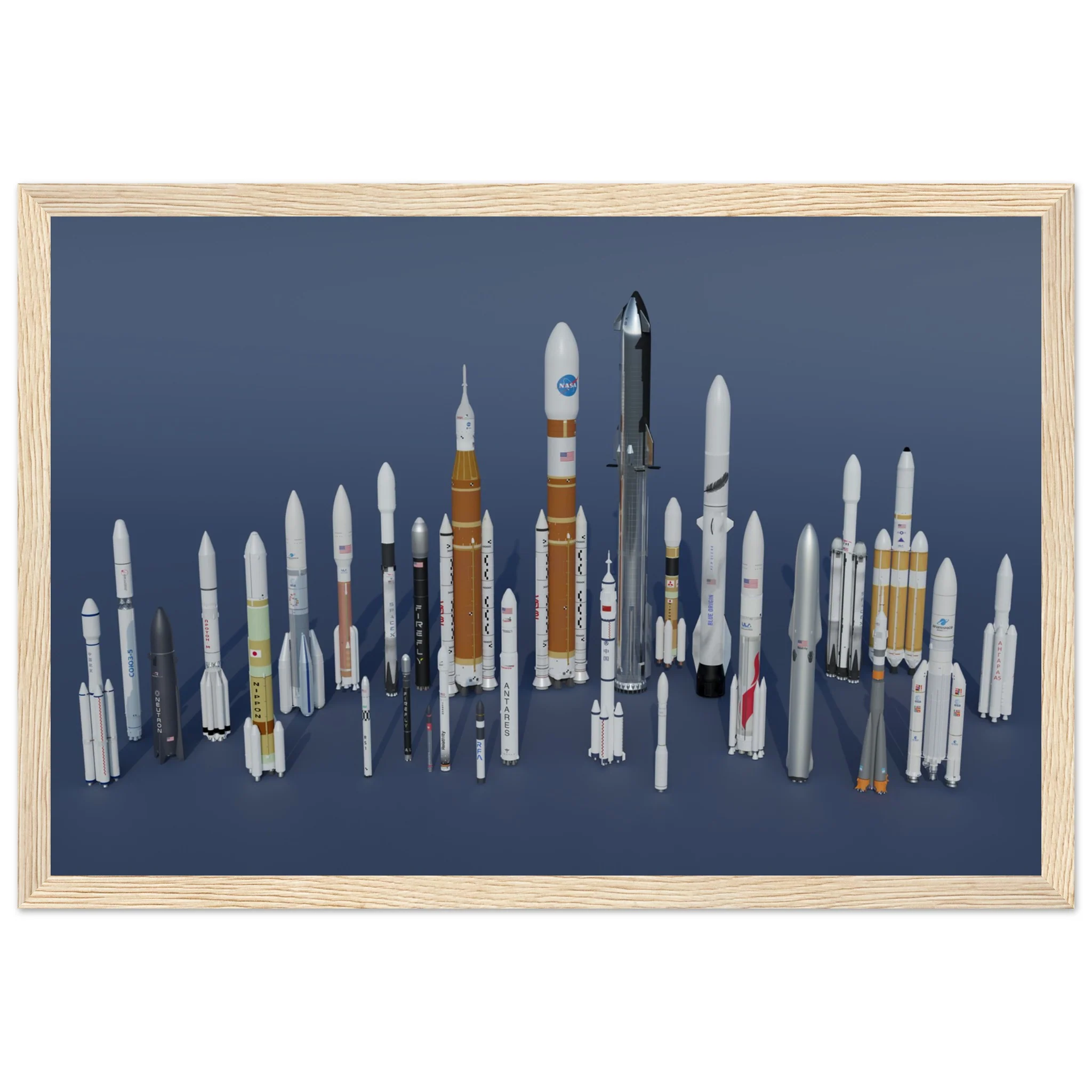 Rocket Garden - Image 8