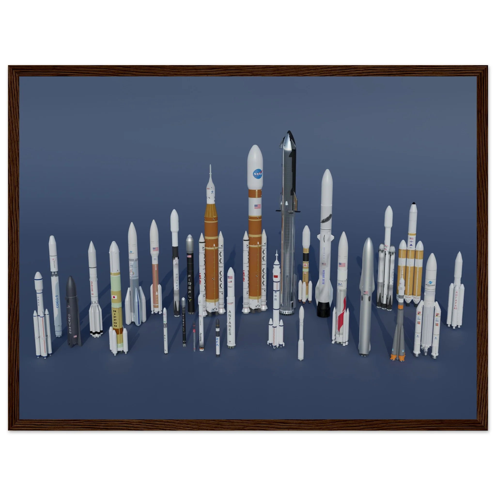 Rocket Garden - Image 9