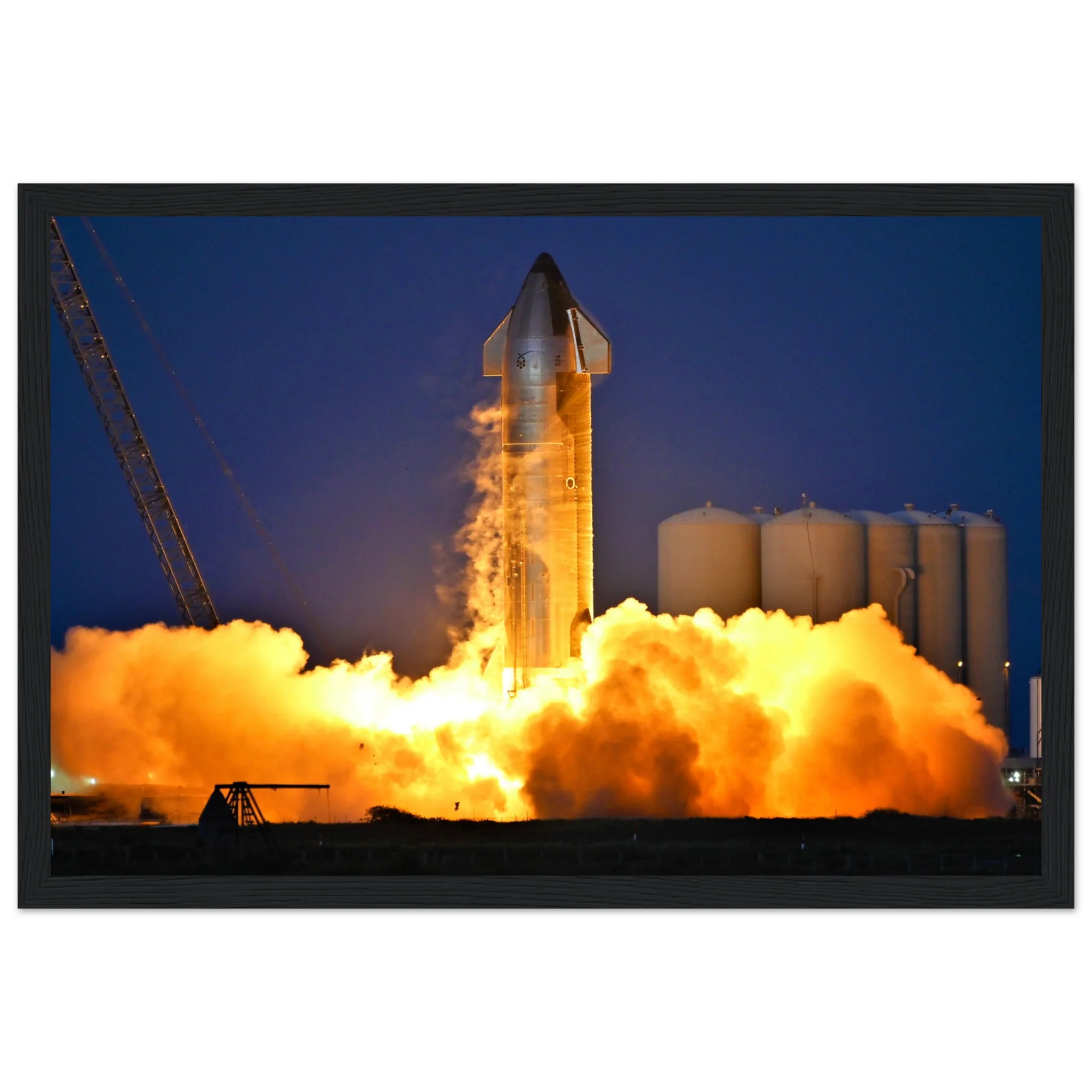 Ship 24 Is Alive - Image 5