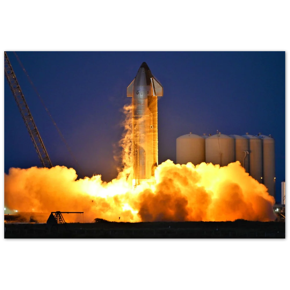 Ship 24 Is Alive - Image 7