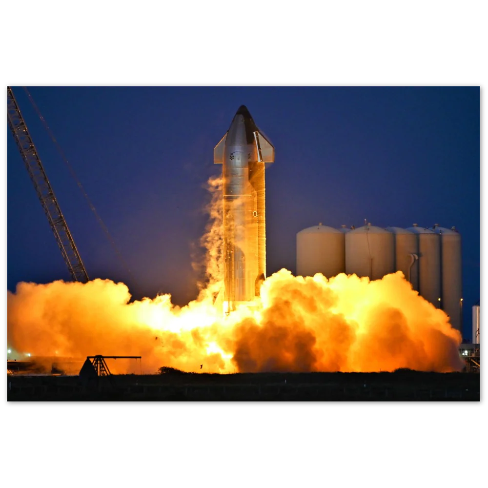 Ship 24 Is Alive - Image 8