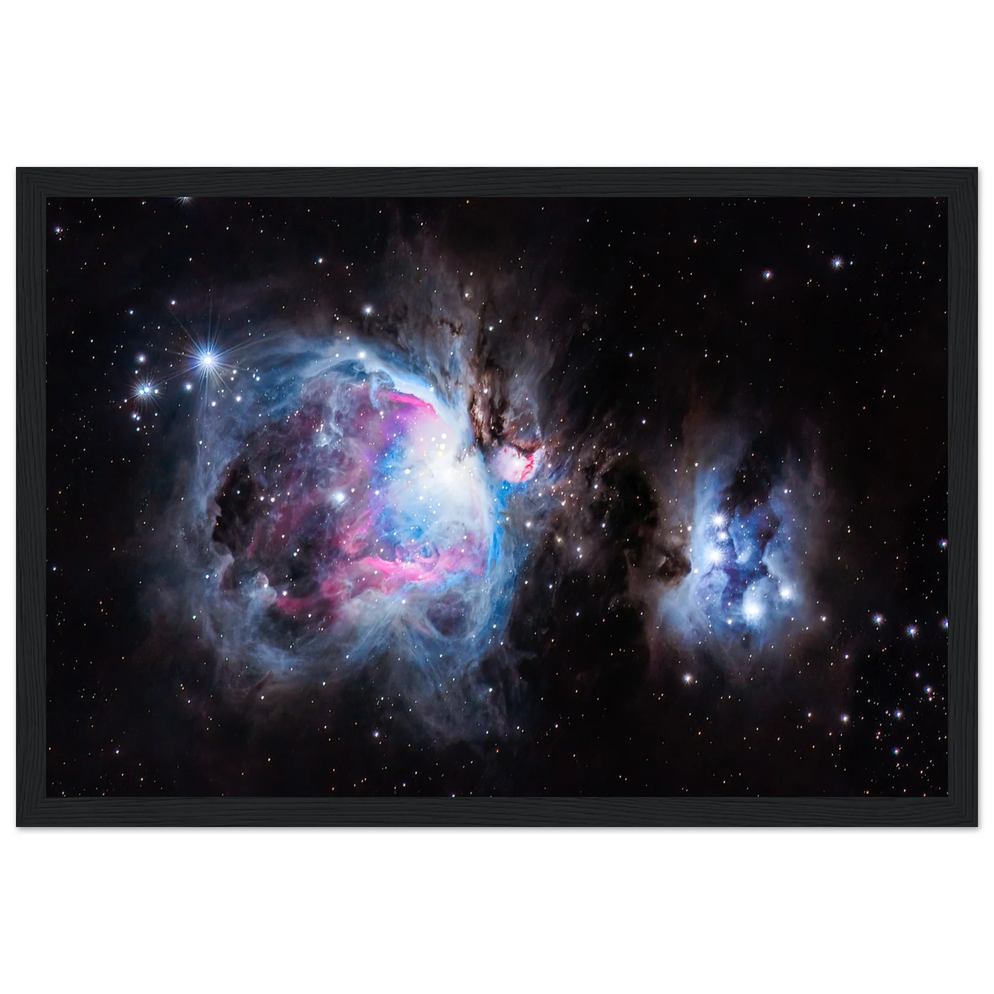 The Orion Nebula - Image 7